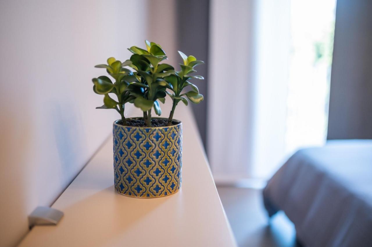 Grey House Guest House Luxury ラティーナ エクステリア 写真